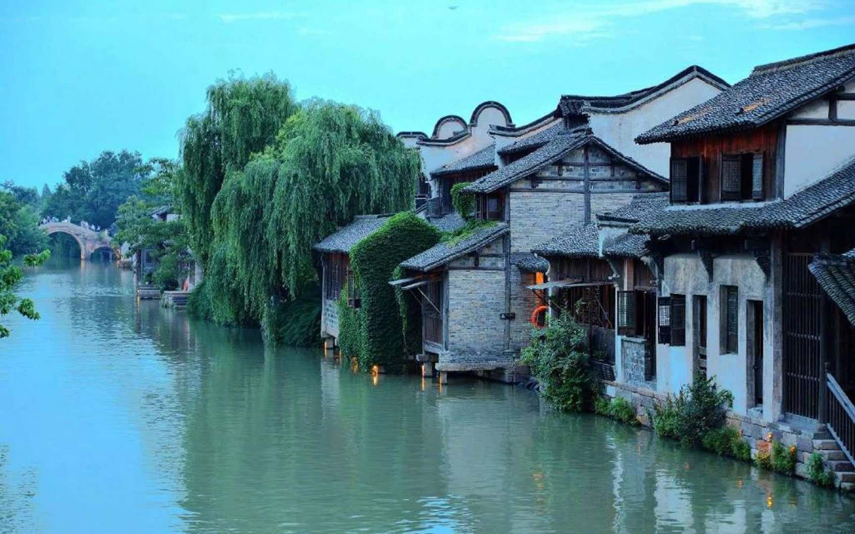 逗小猴开心系列197